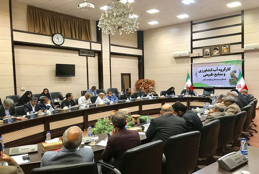 طرح ۴۶ هزار هکتاری انتقال آب به دشت سیستان آماده بهره‌برداری می شود