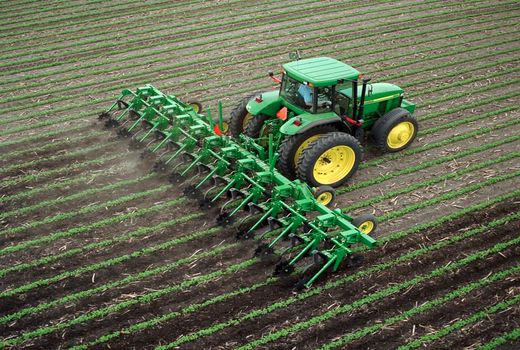 امنیت غذایی روی خاک سالم بنا می‌شود/ تأکید بر مدیریت هوشمند آب و خاک