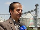 موفقیت سیاست تغییر الگوی کشت در گرو حمایت تمام قد صندوق بیمه از کشاورزان 