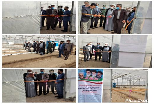 2 طرح کشاورزی در ریگان در ایام الله دهه فجر افتتاح شد