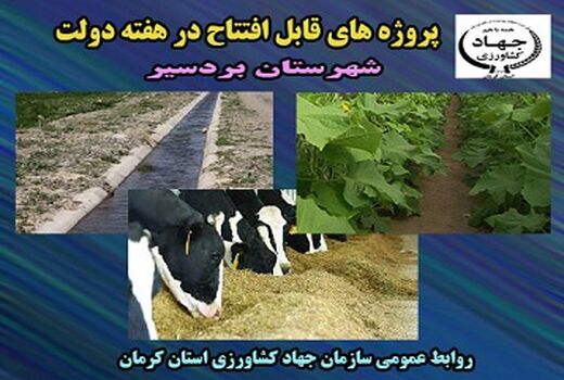 3 طرح کشاورزی شهرستان بردسیر در هفته دولت به بهره برداری می رسد