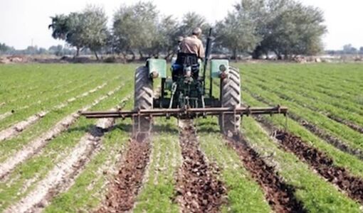 خرد شدن اراضی و فرسودگی ماشین‌آلات؛ دو مانع جدی افزایش بهره‌وری در مزارع چغندرقند