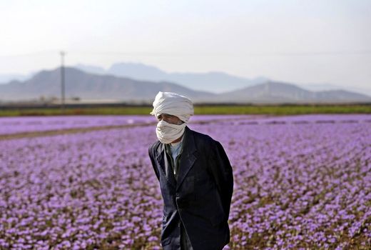 متخصصان درجایی که باید بایستند، نایستاده‌اند