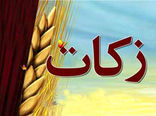 برگزاری شورای زکات درقطب وانبارغله استان کرمان 