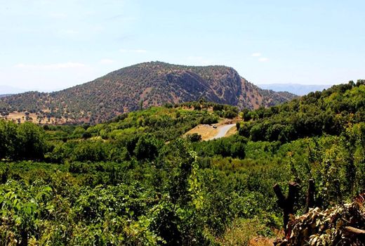 بیش از ۳۵ هزار ۸۷۴ هکتار از مزارع و باغات بجنورد تحت پوشش شبکه مراقبت و پیش آگاهی 