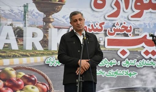 ارزش افزوده سیب میانه با توسعه سورتینگ و بسته‌بندی افزایش می‌یابد
