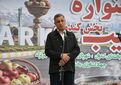 ارزش افزوده سیب میانه با توسعه سورتینگ و بسته‌بندی افزایش می‌یابد