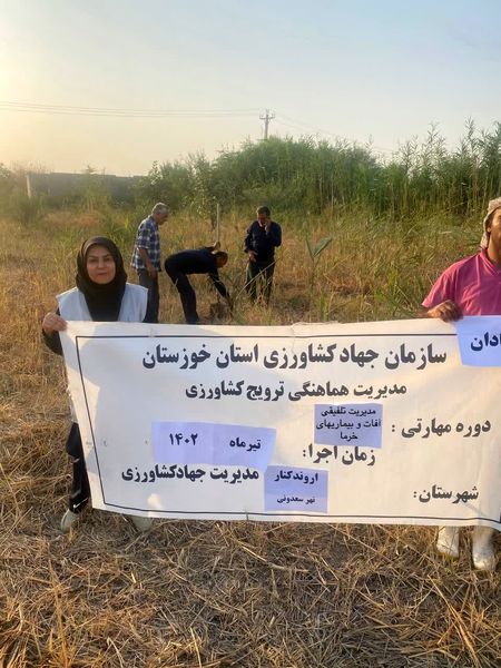 ارتقاء تولید محصول با مدیریت تلفیقی آفات و بیماری‌های خرما در آبادان 