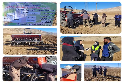 عملیات کاشت