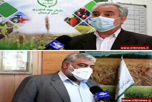 خسارت ۶ هزار میلیاردی خشکسالی به کشاورزی کردستان