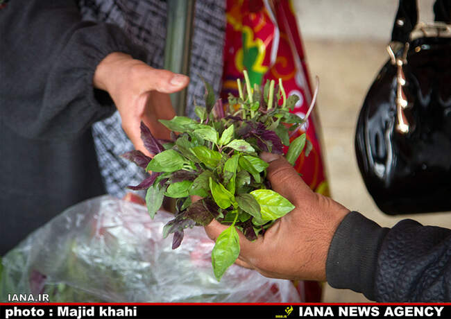 بازارمیوه وتره‌بار