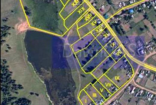 اجرای طرح کاداستر مهمترین برنامه منابع طبیعی استان همدان