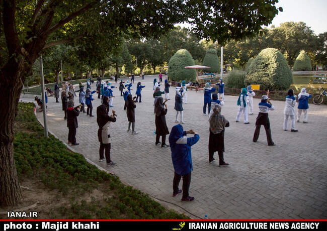 نرمش صبحگاهی