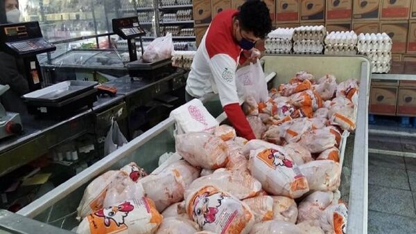 هیچ کمبودی برای عرضه مرغ در اصفهان نداریم