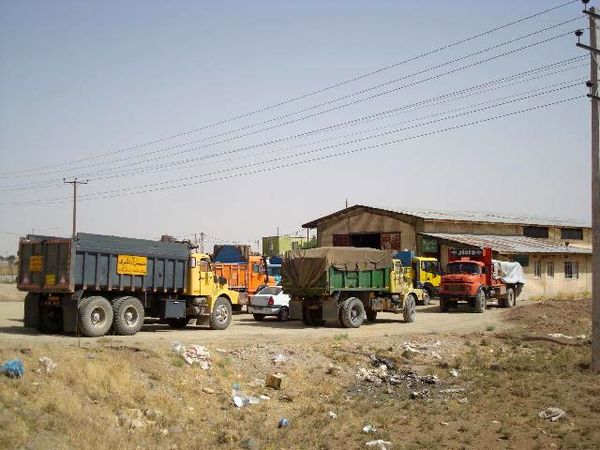 1500 تن گندم گواهی‌شده خریداری شد