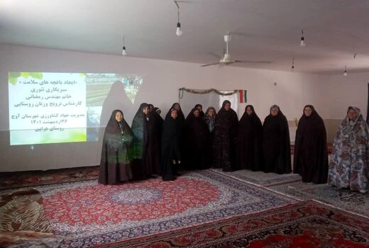 برگزاری کارگاه آموزشی احداث باغچه های سلامت برای زنان روستایی در شهرستان آوج