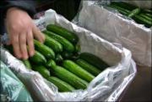 9  محصول داراب پروانه کاربرد نشان حد مجاز آلاینده ها گرفت  