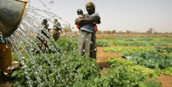 کشورهای در حال ظهور و در حال توسعه، آسیب‌پذیر در برابر خشکسالی