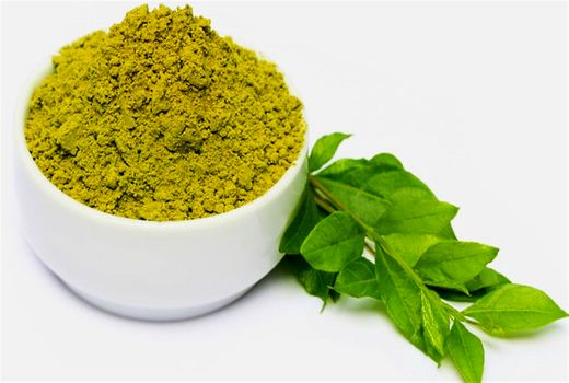 حنا در روزهای آینده برداشت می‌شود