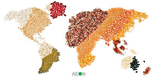 صادرات 8 ماهه سال در حوزه کشاورزی؛ 4 میلیارد و ۹۰۰ میلیون دلار/ رشد 31 درصدی صادرات لبنیات