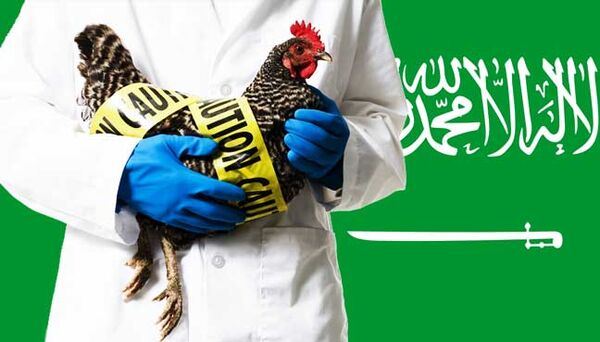 ورود پرندگان زنده از مالزی به عربستان ممنوع شد