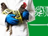 ورود پرندگان زنده از مالزی به عربستان ممنوع شد