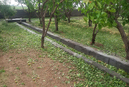 خسارت 180 میلیارد ریالی طوفان به بخش کشاورزی باشت