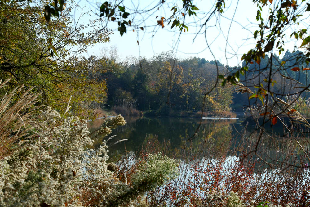 بازدید تور رسانه ای از باغ ملی گیاه شناسی ایران                   
