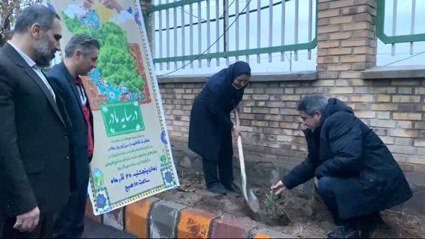 پویش درختکاری به یاد مادران در سرای سالمندان میانه برگزار شد