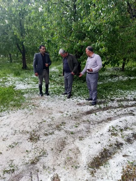 خسارت ۲۷۰ میلیارد تومانی تگرگ و سیل در خوی 