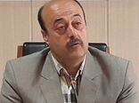 کشت 17 رقم گندم در استان اردبیل