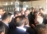 وزیر جهاد کشاورزی از کشتارگاه صنعتی طیور در شهرستان رزن بازدید کرد