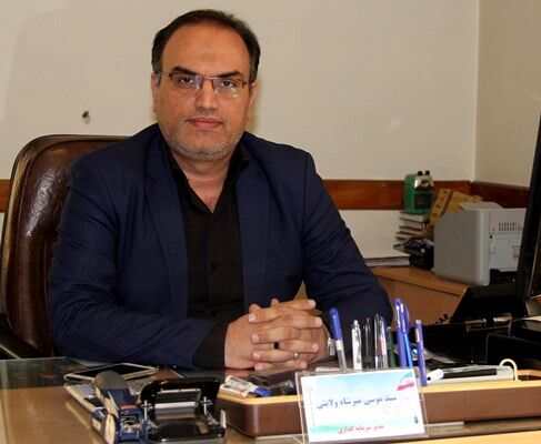 212 متقاضی کشت گلخانه ای و پرورش قارچ به بانک کشاورزی معرفی شد