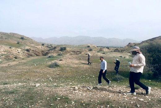 حضور دسته‌های کوچک ملخ صحرایی در قیروکارزین تایید شد 