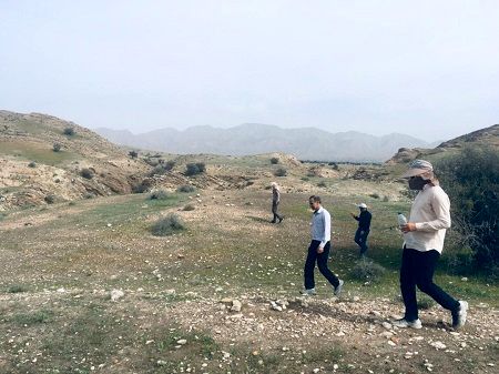 حضور دستههای کوچک ملخ صحرایی در قیروکارزین تایید شد