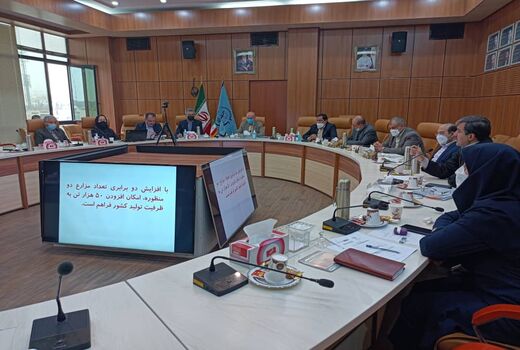 تقویت و ساماندهی مشاغل خُرد در دستور کار سازمان شیلات ایران قرار گرفت