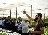  تولید مواد غذایی با منابع کمتر