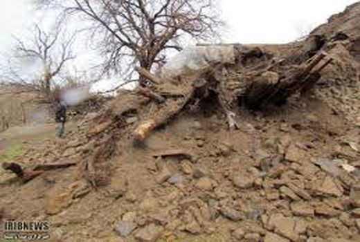 سرمازدگی و سیل به بخش کشاورزی شهرستان رابر خسارت وارد کرد