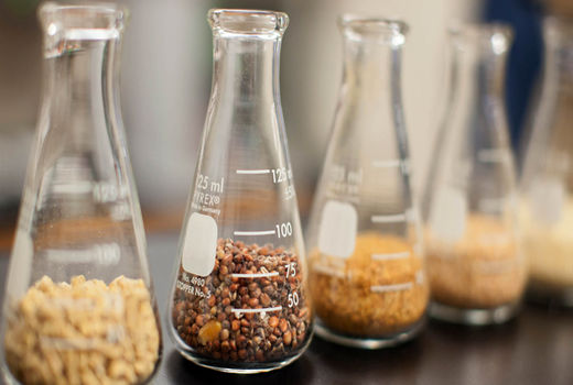 تشکیل کمیته نظارت فنی و کنترل کیفی خوراک دام، طیور و آبزیان در استان خوزستان