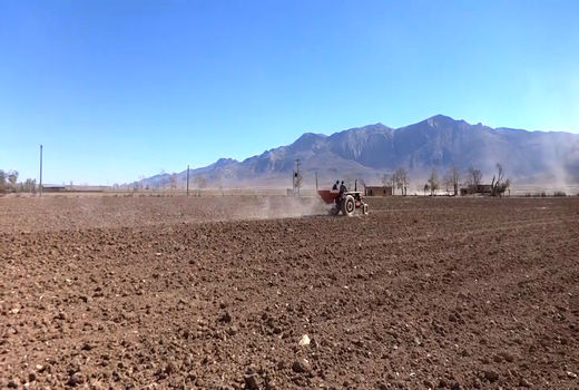 عدم استقبال  کشاورزان فریدونی  از بیمه محصولات کشاورزی