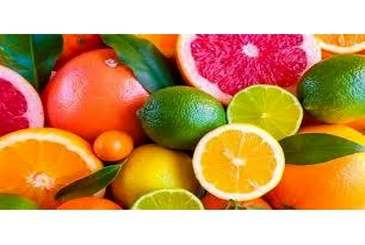 تولید 500 هزار تنی مرکبات در بابل