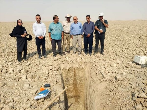 تدوین الگوی کشت بهینه در خوزستان بر پایه مطالعات دقیق خاکشناسی