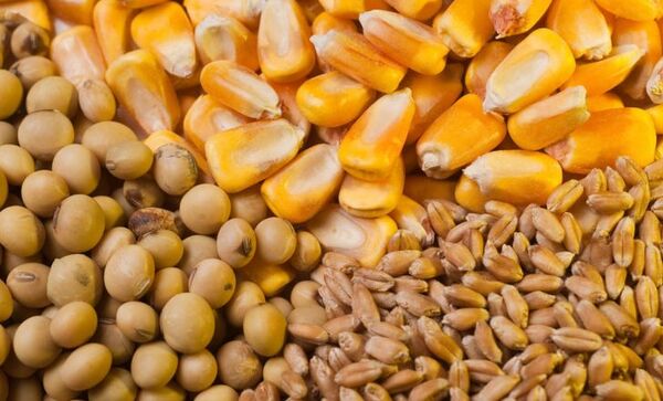 تحقق ۷۲ درصدی سهیمه اشتغال در بخش کشاورزی شهرستان آبیک