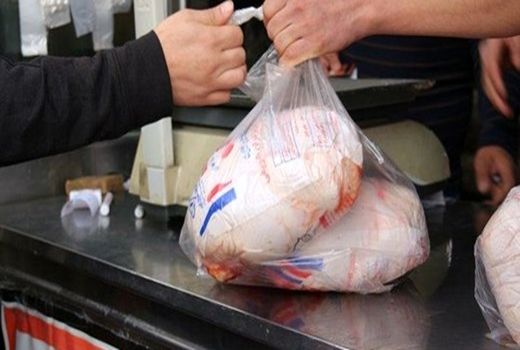 دلالی عامل مضاعف گرانی مرغ در مرکز تولید پروتئین سفید اصفهان