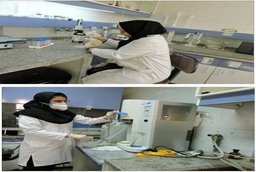 انجام بیش از 10 هزار مورد آزمایش در آزمایشگاه های دامپزشکی استان ایلام 