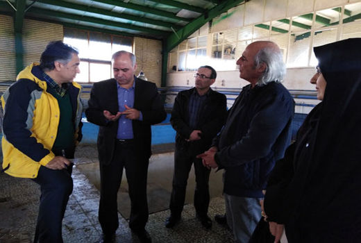 بررسی مشکلات زیربخش شیلات و امور آبزیان شبستر توسط معاون موسسه تحقیقات علوم شیلاتی