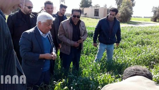 بازدید سرپرست وزارت جهاد کشاورزی از مزارع کشاورزی استان های خوزستان و ایلام 98/11/24	