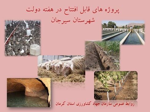 بهره برداری از 9 طرح کشاورزی و دامپروری شهرستان سیرجان در هفته دولت 