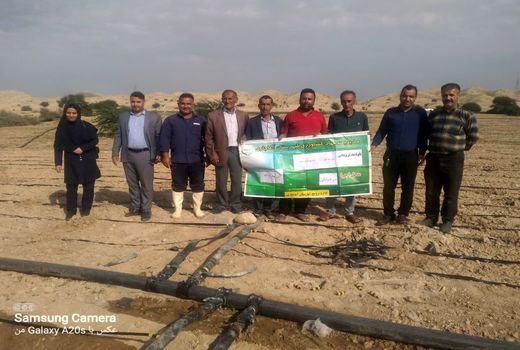 اجرای آبیاری میکرو مزارع کلزا و گندم برای اولین بار در آغاجاری