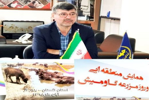 همایش منطقه ای و روز مزرعه گاومیش دام هزاره سوم در استان گلستان برگزار می شود